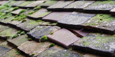 Wormstone roof repair costs